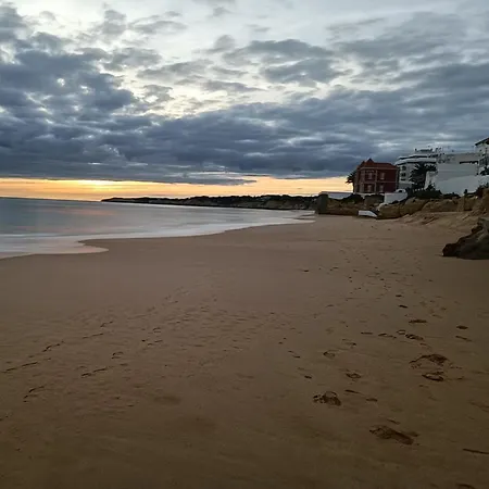 Algarpapa *