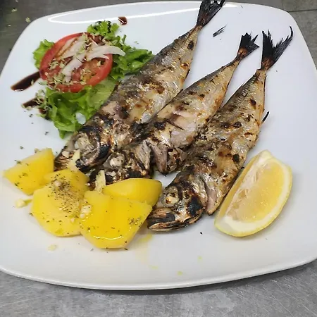 Algarpapa *