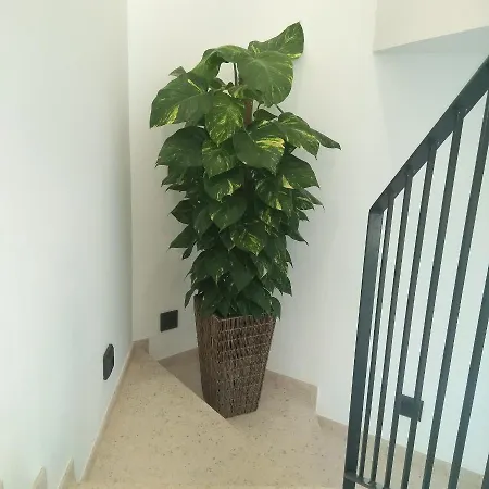 게스트하우스 Algarpapa Armação de Pêra